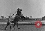 Standbild Zebras und Pferde im Circus Sarasota Florida USA, 1930, aus Sekunde 35 historischem Filmmaterial Videoclip 65675041973