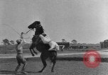 Standbild Zebras und Pferde im Circus Sarasota Florida USA, 1930, aus Sekunde 36 historischem Filmmaterial Videoclip 65675041973