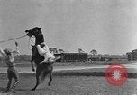 Standbild Zebras und Pferde im Circus Sarasota Florida USA, 1930, aus Sekunde 38 historischem Filmmaterial Videoclip 65675041973
