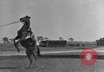 Standbild Zebras und Pferde im Circus Sarasota Florida USA, 1930, aus Sekunde 39 historischem Filmmaterial Videoclip 65675041973