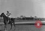 Standbild Zebras und Pferde im Circus Sarasota Florida USA, 1930, aus Sekunde 40 historischem Filmmaterial Videoclip 65675041973