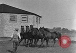 Standbild Zebras und Pferde im Circus Sarasota Florida USA, 1930, aus Sekunde 42 historischem Filmmaterial Videoclip 65675041973