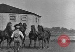 Standbild Zebras und Pferde im Circus Sarasota Florida USA, 1930, aus Sekunde 43 historischem Filmmaterial Videoclip 65675041973