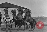 Standbild Zebras und Pferde im Circus Sarasota Florida USA, 1930, aus Sekunde 50 historischem Filmmaterial Videoclip 65675041973