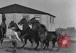 Standbild Zebras und Pferde im Circus Sarasota Florida USA, 1930, aus Sekunde 51 historischem Filmmaterial Videoclip 65675041973