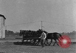Standbild Zebras und Pferde im Circus Sarasota Florida USA, 1930, aus Sekunde 53 historischem Filmmaterial Videoclip 65675041973