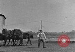 Standbild Zebras und Pferde im Circus Sarasota Florida USA, 1930, aus Sekunde 54 historischem Filmmaterial Videoclip 65675041973