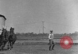 Standbild Zebras und Pferde im Circus Sarasota Florida USA, 1930, aus Sekunde 55 historischem Filmmaterial Videoclip 65675041973