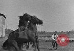 Standbild Zebras und Pferde im Circus Sarasota Florida USA, 1930, aus Sekunde 56 historischem Filmmaterial Videoclip 65675041973