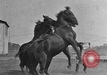 Standbild Zebras und Pferde im Circus Sarasota Florida USA, 1930, aus Sekunde 57 historischem Filmmaterial Videoclip 65675041973