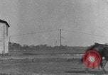 Standbild Zebras und Pferde im Circus Sarasota Florida USA, 1930, aus Sekunde 59 historischem Filmmaterial Videoclip 65675041973
