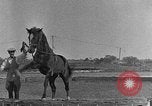 Standbild Zebras und Pferde im Circus Sarasota Florida USA, 1930, aus Sekunde 61 historischem Filmmaterial Videoclip 65675041973