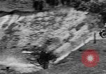 Standbild Motor Bike race Richmond England, 1931, aus Sekunde 32 historischem Filmmaterial Videoclip 65675041981