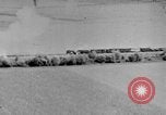 Image of Whitehall London England Cherbourg Normandy France, 1944, second 53 stock footage video 65675041992