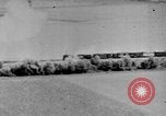 Image of Whitehall London England Cherbourg Normandy France, 1944, second 54 stock footage video 65675041992