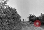 Image of Allied Forces advancing in Normandy France Normandy France, 1944, second 47 stock footage video 65675041993