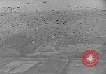 Image of Allied Forces Paris France, 1944, second 24 stock footage video 65675041994