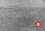 Image of Allied Forces Paris France, 1944, second 27 stock footage video 65675041994