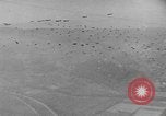 Image of Allied Forces Paris France, 1944, second 29 stock footage video 65675041994