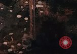 Standbild Jets North Vietnam, 1968, aus Sekunde 51 historischem Filmmaterial Videoclip 65675042017