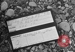 Standbild Luft Suche Nice Frankreich, 1954, aus Sekunde 1 historischem Filmmaterial Videoclip 65675042029