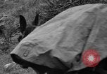 Standbild Suche Für abgestürzte USAF C-47 Flugzeuge San Giacomo di Entracque Italien, 1954, aus Sekunde 25 historischem Filmmaterial Videoclip 65675042032