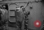 Standbild Seeleute United States USA, 1939, aus Sekunde 8 historischem Filmmaterial Videoclip 65675042033