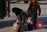 Immagine di Salvataggio di B-52 crash superstiti Bangor Maine USA, 1963, secondo 14 filmato di repertorio 65675042037