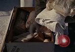 Immagine di Salvataggio di B-52 crash superstiti Bangor Maine USA, 1963, secondo 20 filmato di repertorio 65675042037