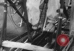Image of human powered airplane United States USA, 1920, second 3 stock footage video 65675042058