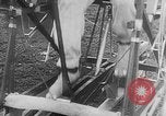 Image of human powered airplane United States USA, 1920, second 20 stock footage video 65675042058