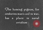 Image of carrier pigeon United States USA, 1925, second 3 stock footage video 65675042068