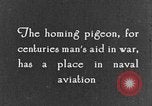 Image of carrier pigeon United States USA, 1925, second 7 stock footage video 65675042068