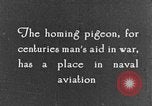 Image of carrier pigeon United States USA, 1925, second 8 stock footage video 65675042068