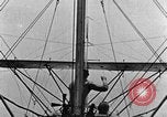 Image of carrier pigeon United States USA, 1925, second 35 stock footage video 65675042068