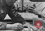 Image of carrier pigeon United States USA, 1925, second 52 stock footage video 65675042068