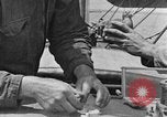 Image of carrier pigeon United States USA, 1925, second 54 stock footage video 65675042068