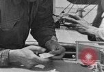 Image of carrier pigeon United States USA, 1925, second 56 stock footage video 65675042068