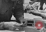 Image of carrier pigeon United States USA, 1925, second 57 stock footage video 65675042068