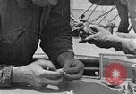 Image of carrier pigeon United States USA, 1925, second 58 stock footage video 65675042068