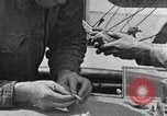 Image of carrier pigeon United States USA, 1925, second 59 stock footage video 65675042068