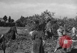 Image of Japanese civilians during invasion of Aguni Jima Okinawa Ryukyu Islands, 1945, second 60 stock footage video 65675042088