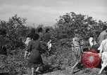 Image of Japanese civilians during invasion of Aguni Jima Okinawa Ryukyu Islands, 1945, second 62 stock footage video 65675042088