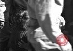 Image of injured Japanese children Okinawa Ryukyu Islands, 1945, second 17 stock footage video 65675042089