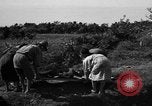 Image of Invasion of Aguni Jima Okinawa Ryukyu Islands, 1945, second 11 stock footage video 65675042091