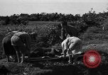 Image of Invasion of Aguni Jima Okinawa Ryukyu Islands, 1945, second 12 stock footage video 65675042091