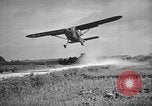 Image of casualties Okinawa Ryukyu Islands, 1945, second 48 stock footage video 65675042092