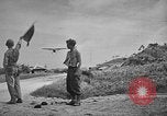 Image of Allied NE-1 aircraft Okinawa Ryukyu Islands, 1945, second 5 stock footage video 65675042093