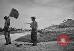 Image of Allied NE-1 aircraft Okinawa Ryukyu Islands, 1945, second 7 stock footage video 65675042093