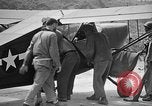 Image of Allied NE-1 aircraft Okinawa Ryukyu Islands, 1945, second 21 stock footage video 65675042093